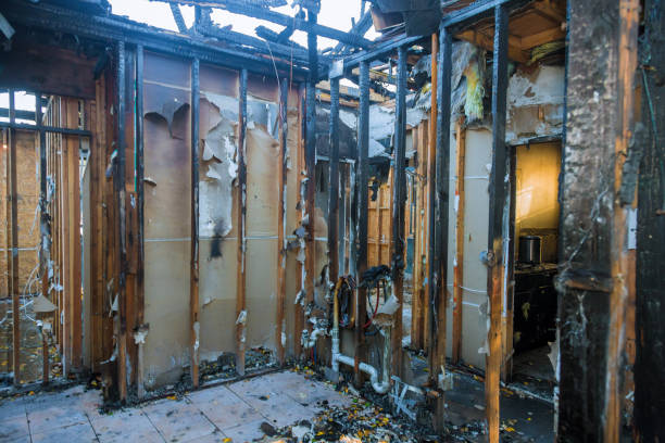 Professional Fire Damage Removal technician working in Englewood, OH
